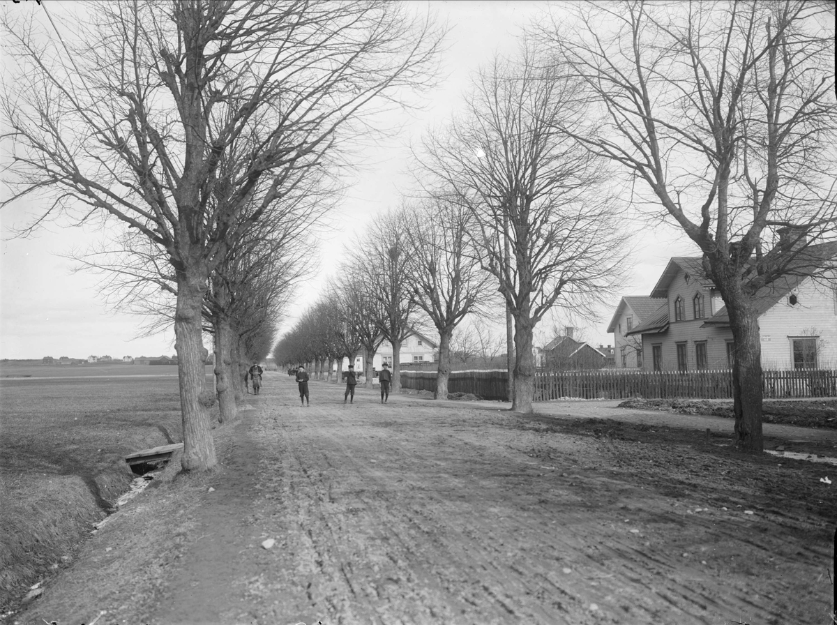 Alfred Dahlgren, Korsningen Vaksalagatan och dåvarande Kvarngärdesgatan, Fålhagen, Uppsala 1908