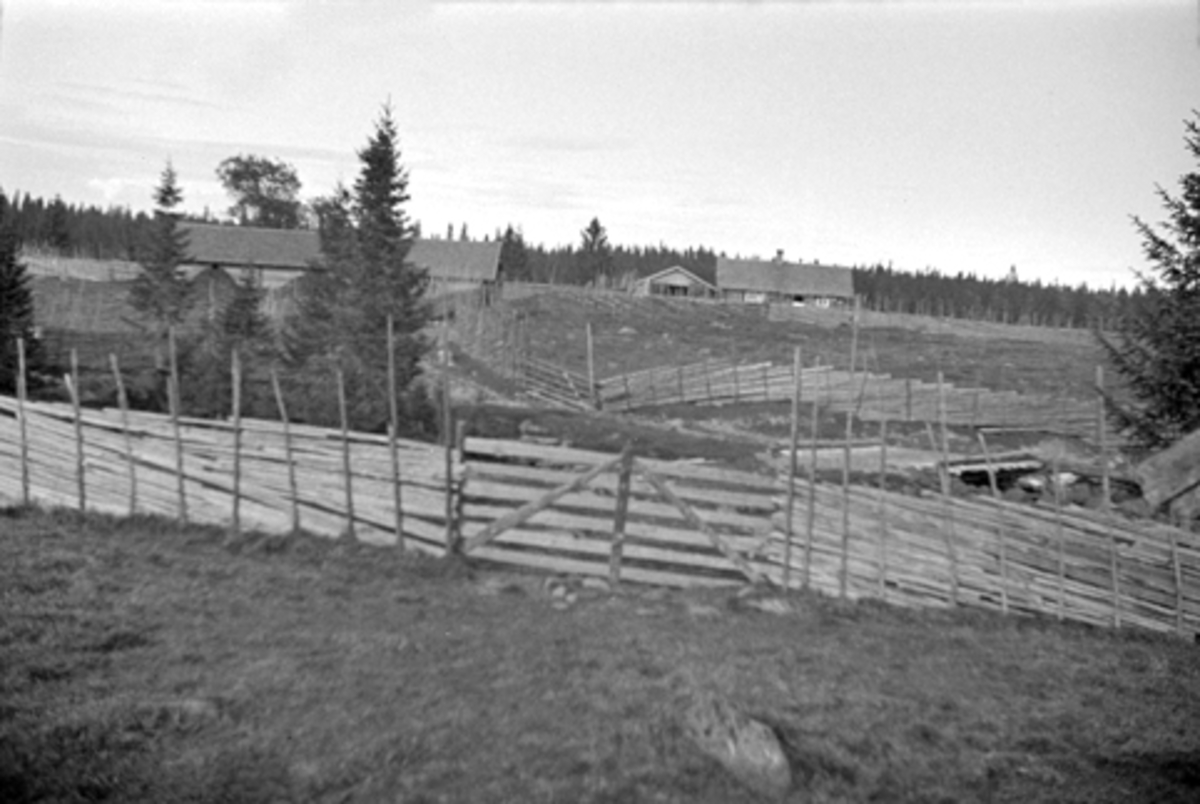 Toralv Bleken-Nilssen, GAUTSETRA I FURNES ALMENNING, Ringsaker. SKIGARD.