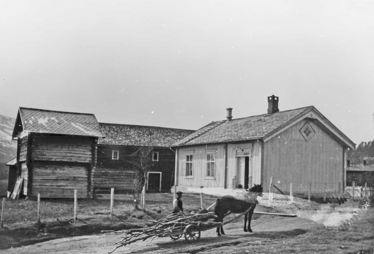 Rachel Haarseth, Gårdsbruk, hest, vogn, person, vedhugst.