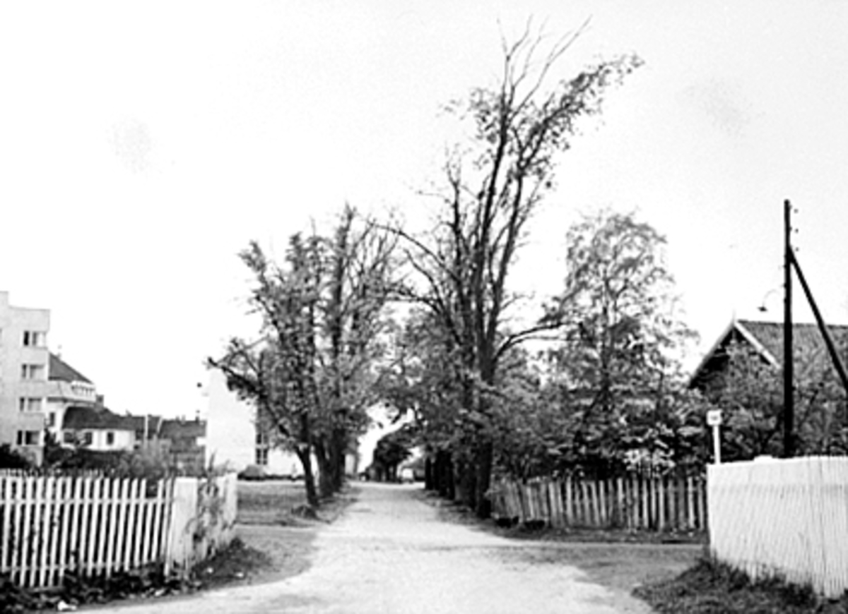 Anno Domkirkeodden, FRA KRYSSET SVERDRUPSGATE/PARKGATA. , PARKGATA 42, CHRISTIEBYGGET I BAKGRUNNEN