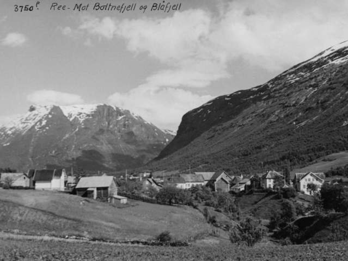 Anders Beer Wilse, -6945