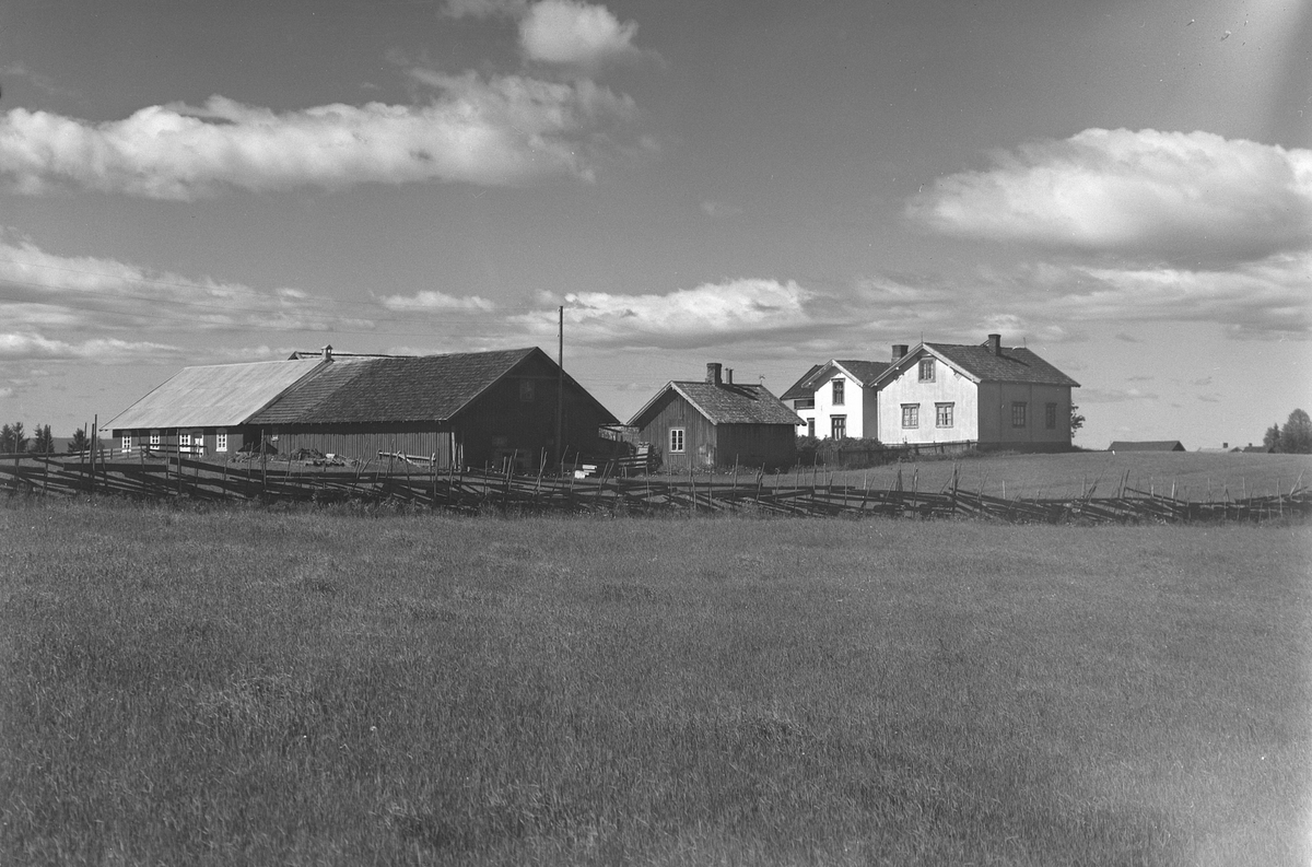 Anno Domkirkeodden, EKSTR: GARDSTUN, LIVEN SØNDRE. Se Løtenboka, bind 2. Bygdeboka fra 1953, side 474