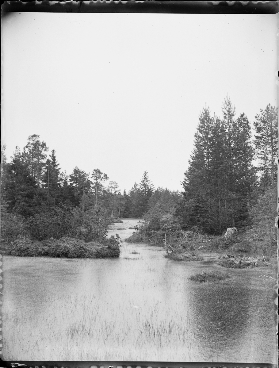 Skötsner-Edhlund, Vattendrag i skogsmiljö, Sverige