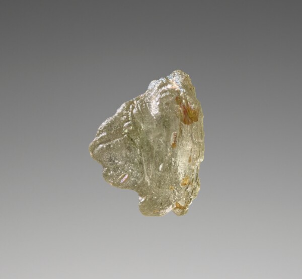 Unknown, Head of a Lion