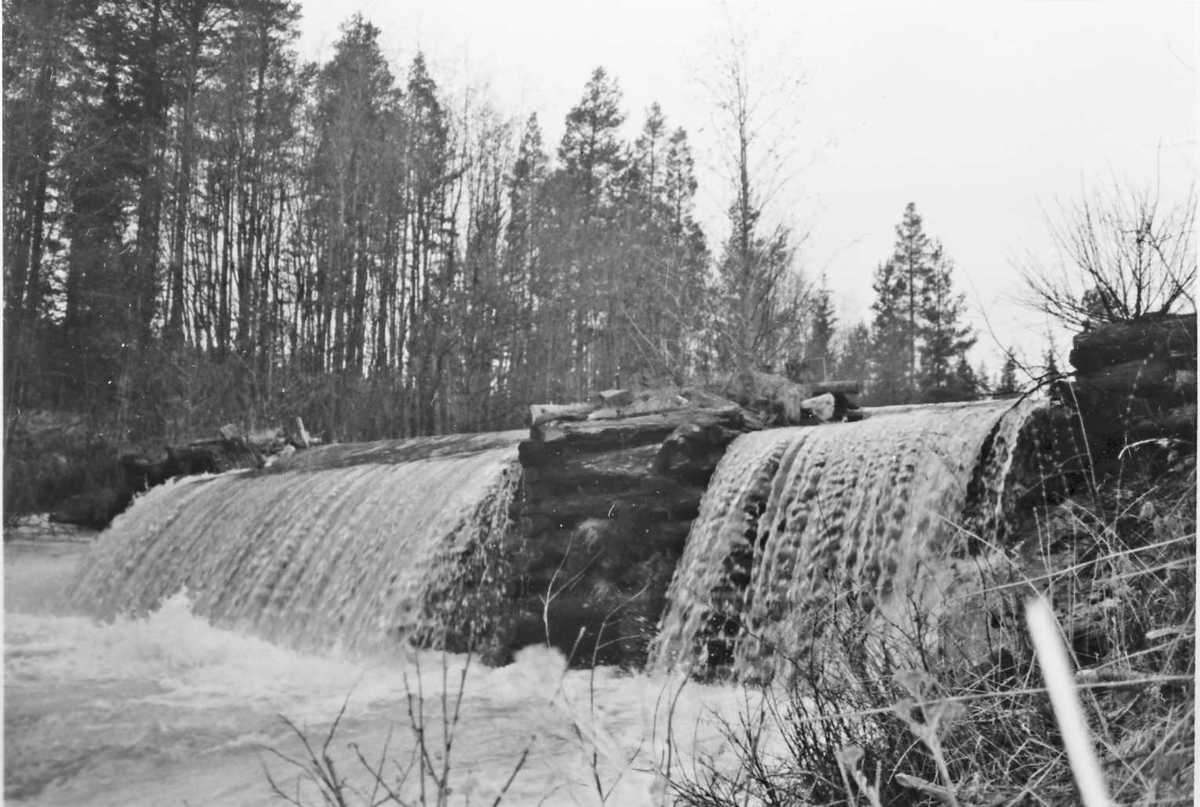 Rachel Haarseth, Dam (kraft), naturforhold.