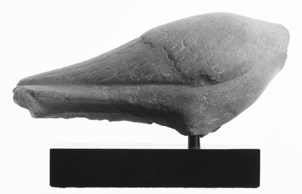 Unknown, Fragment of a Sculpture: Dove