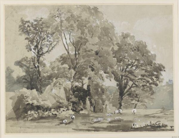 Unknown, Drawing