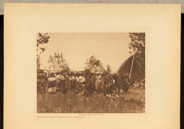 Edward S. Curtis, Buffalo Society, Animal Dance - Cheyenne