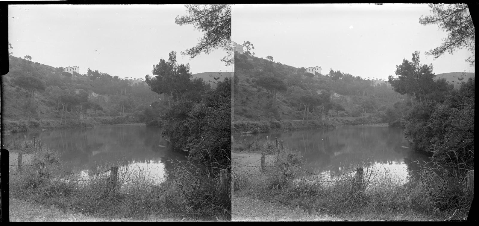 Desconegut, [Vallvidrera Marsh]