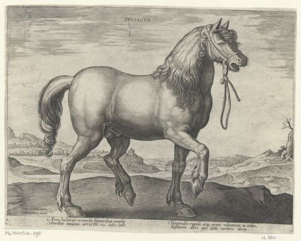 Collaert, Hans, (approximately 1530-1581), (printmaker), The stable of Don Juan of Austria: Juliacus