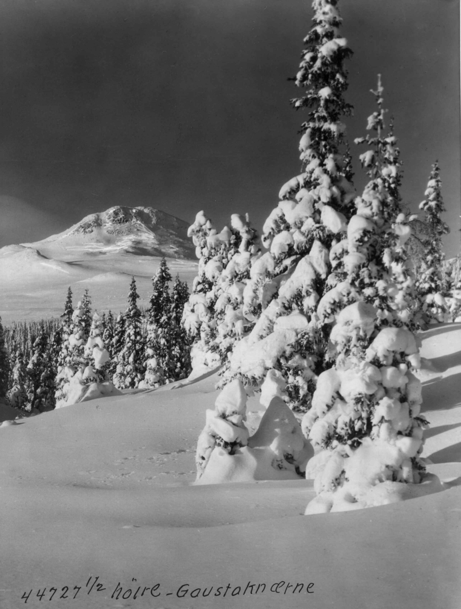 Anders Beer Wilse, Gaustadknærne, Hjartdal, Tuddal, Telemark.