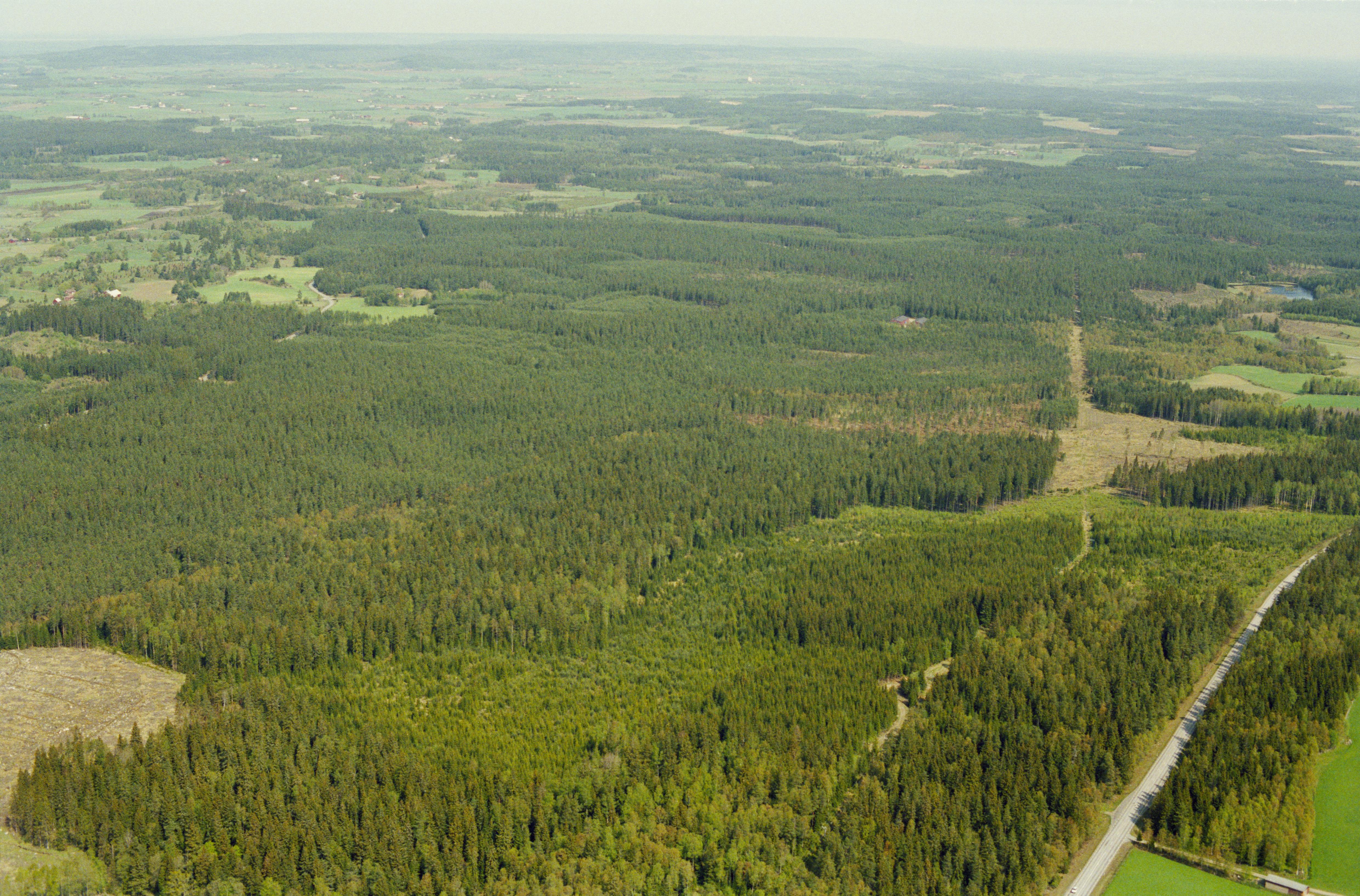 Jan Norrman, Sandhem 217:1