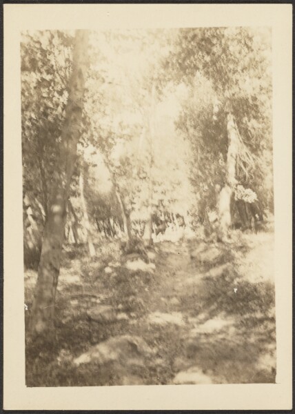 Louis Fleckenstein, [Landscape with Wild Deer]