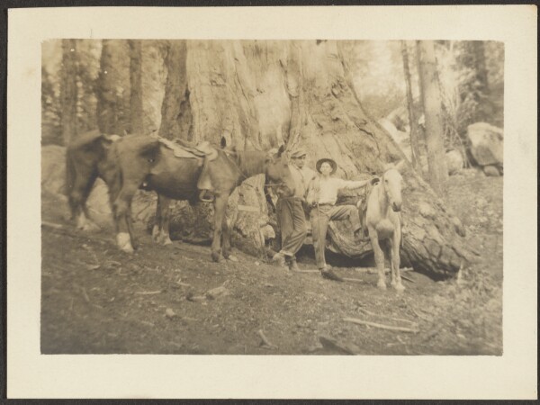 Louis Fleckenstein, [Men and Horses in Forest Clearing]