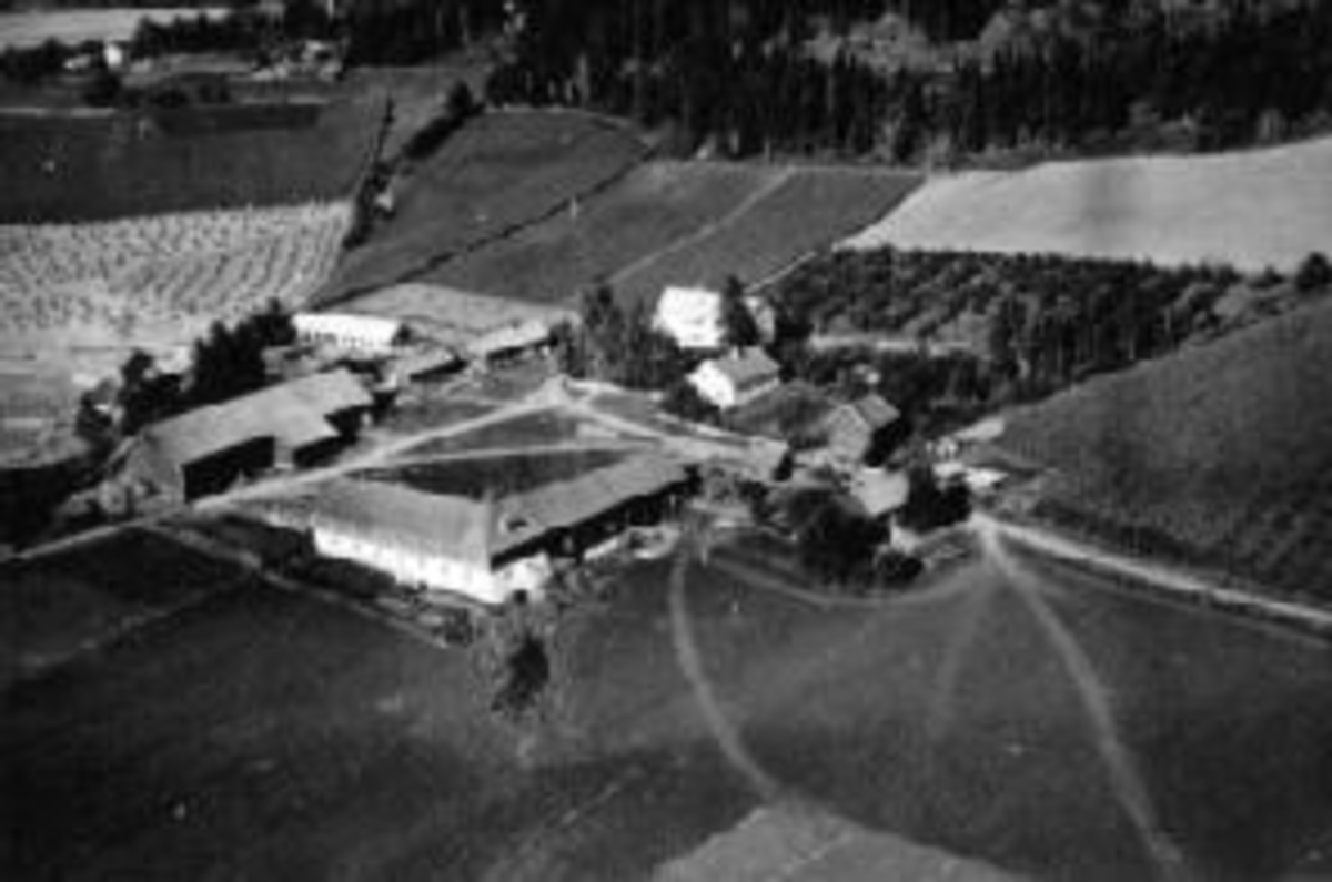 Anno Domkirkeodden, Flyfoto av Kvam, Nes, Hedmark. Hagen til høyre ble plantet i 1939. Revet opp med nye brukere i 1940-åra.