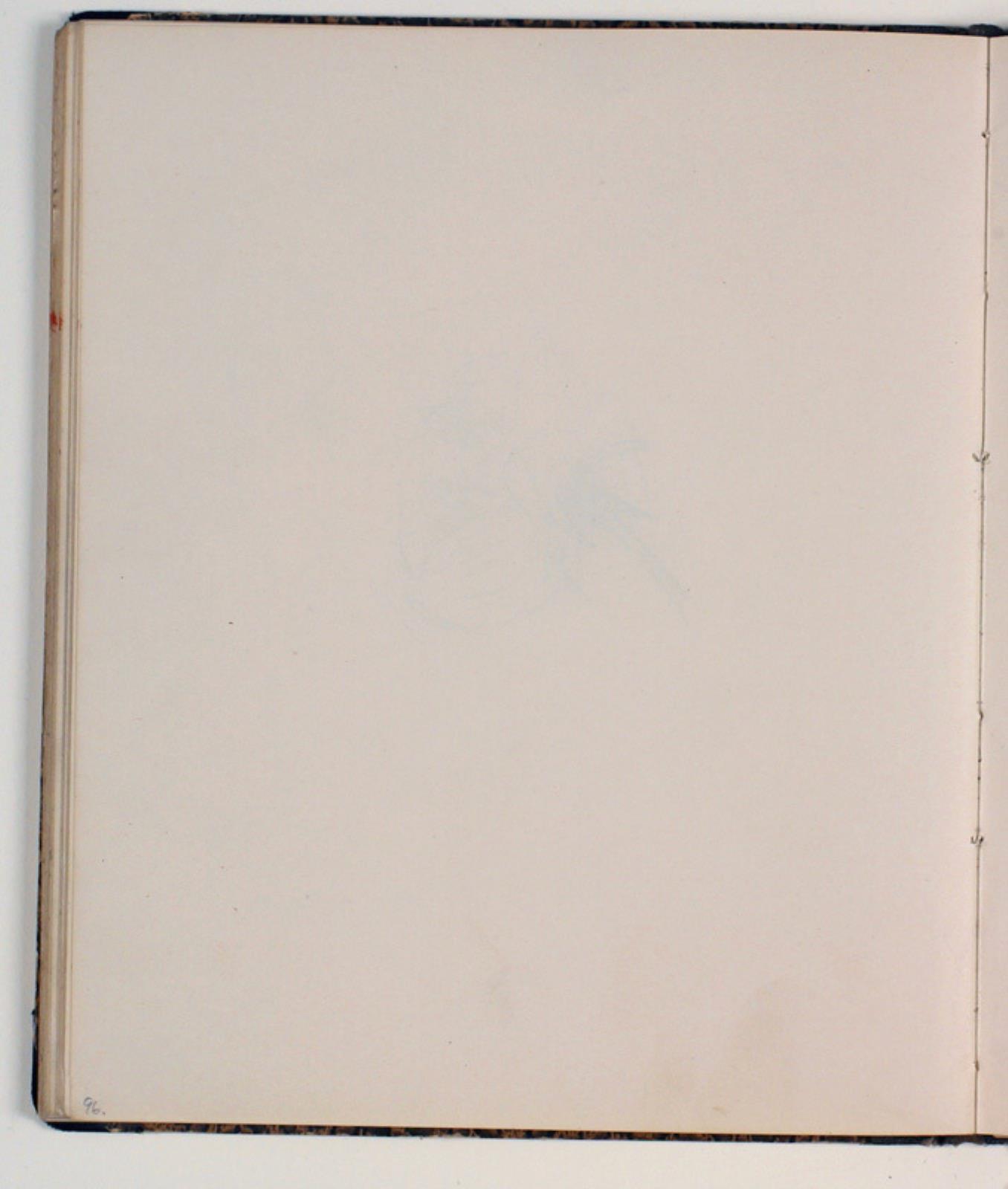 Niels Larsen Stevns, Blank