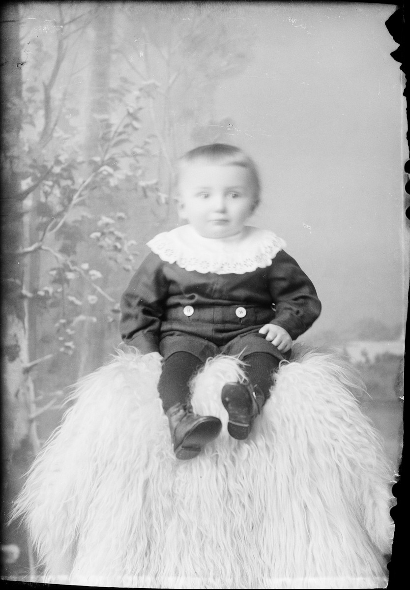 Skötsner-Edhlund, Ateljéporträtt - Erik Erikssons barn, Östhammar, Uppland 1924