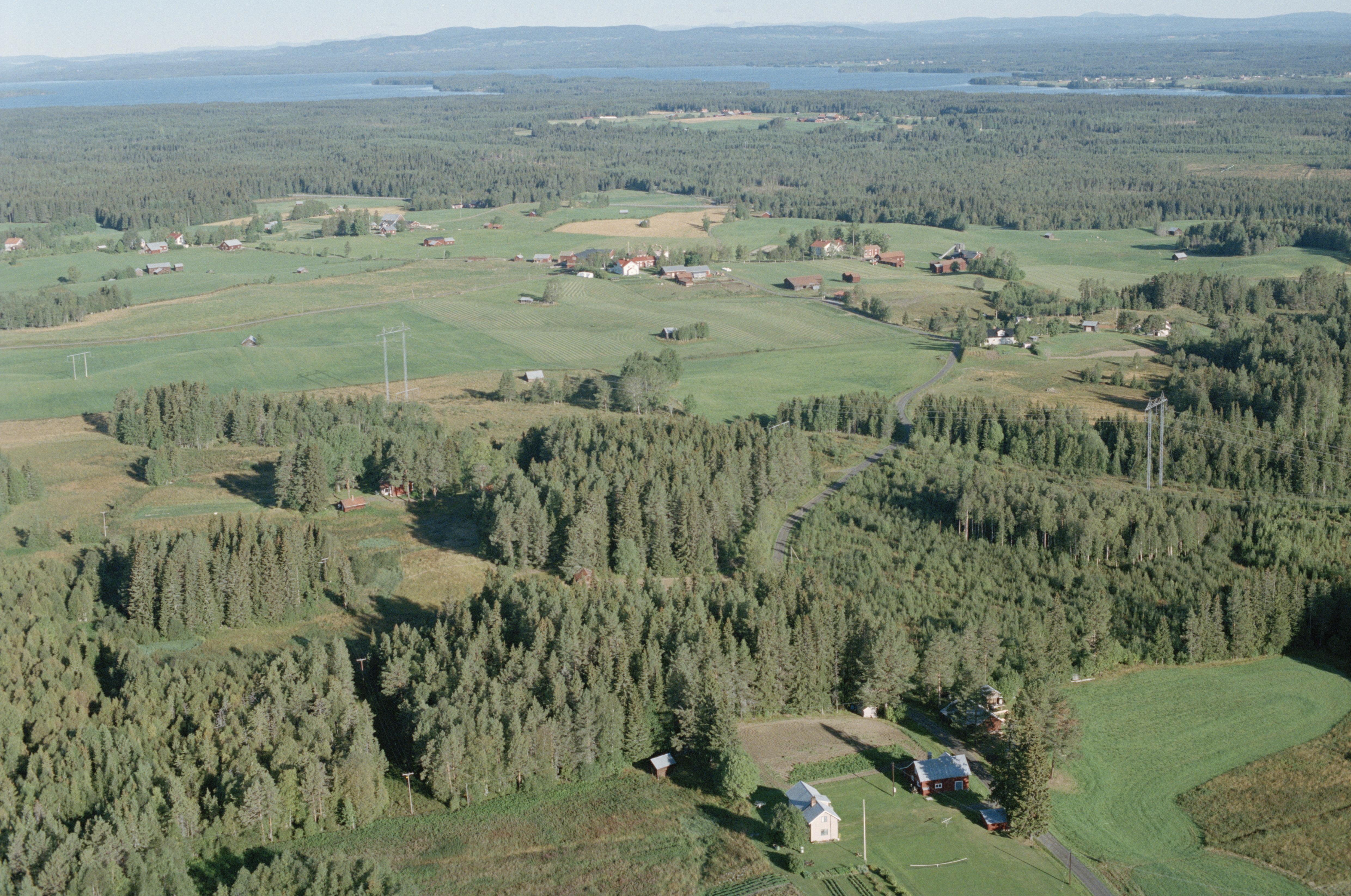 Jan Norrman, Rödön 8:1