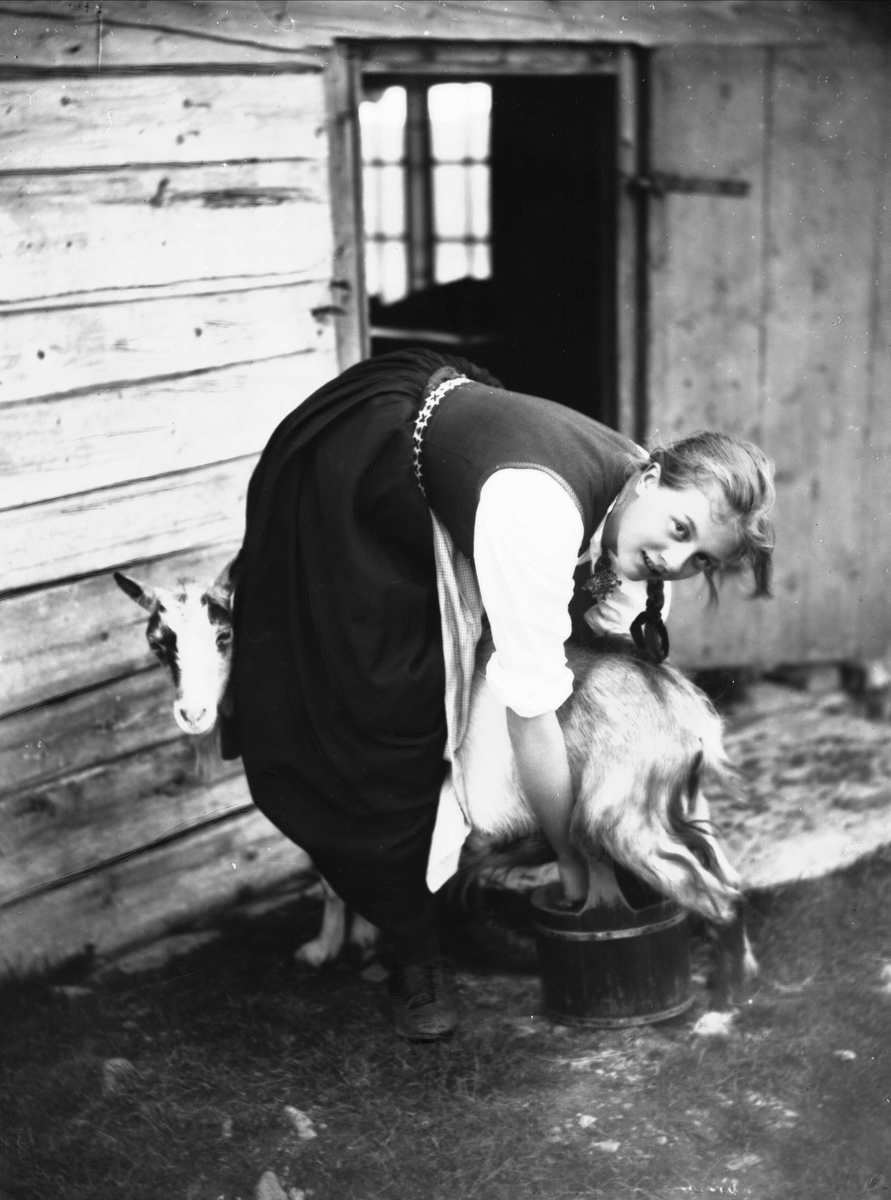 Solveig Lund, Kvinne i nasjonaldrakt melker geit ved seter.