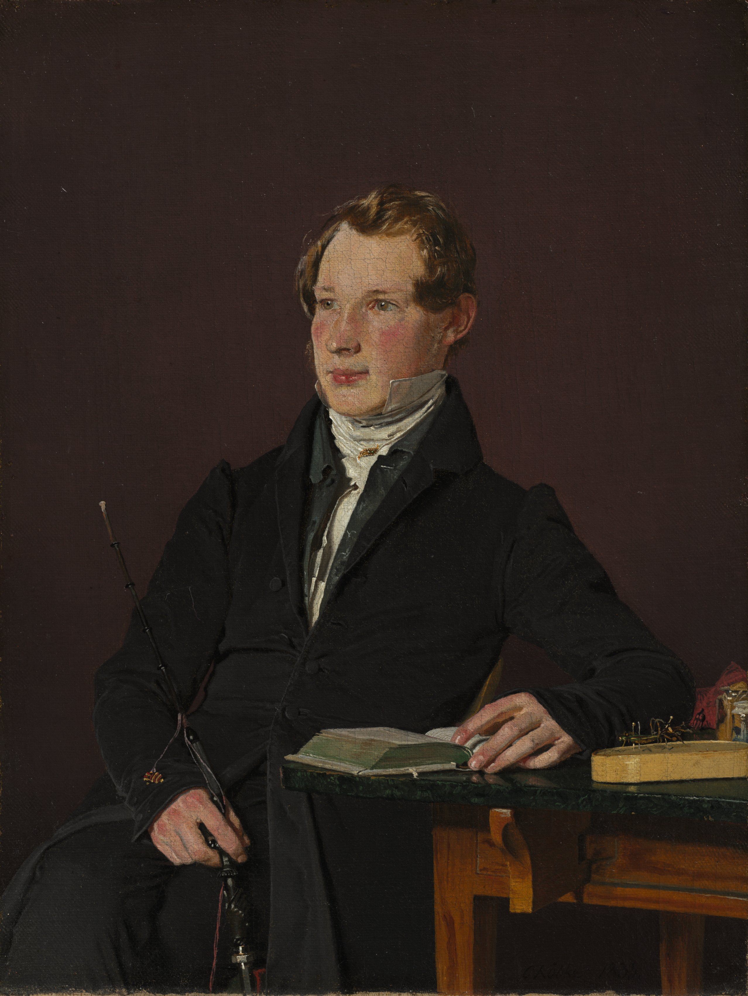 Christen Købke, Dr. Johann Henning Kjetil Hjardemaal