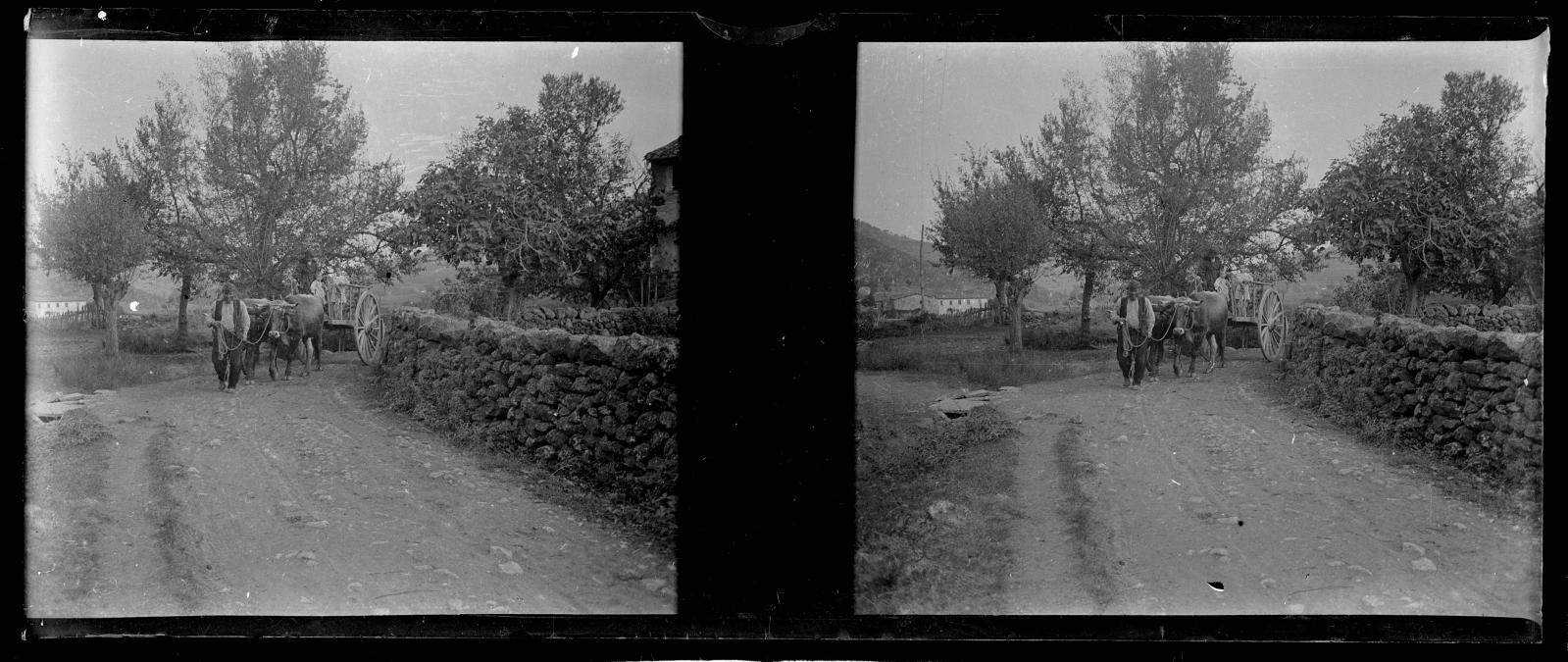 Desconegut, [Cart]