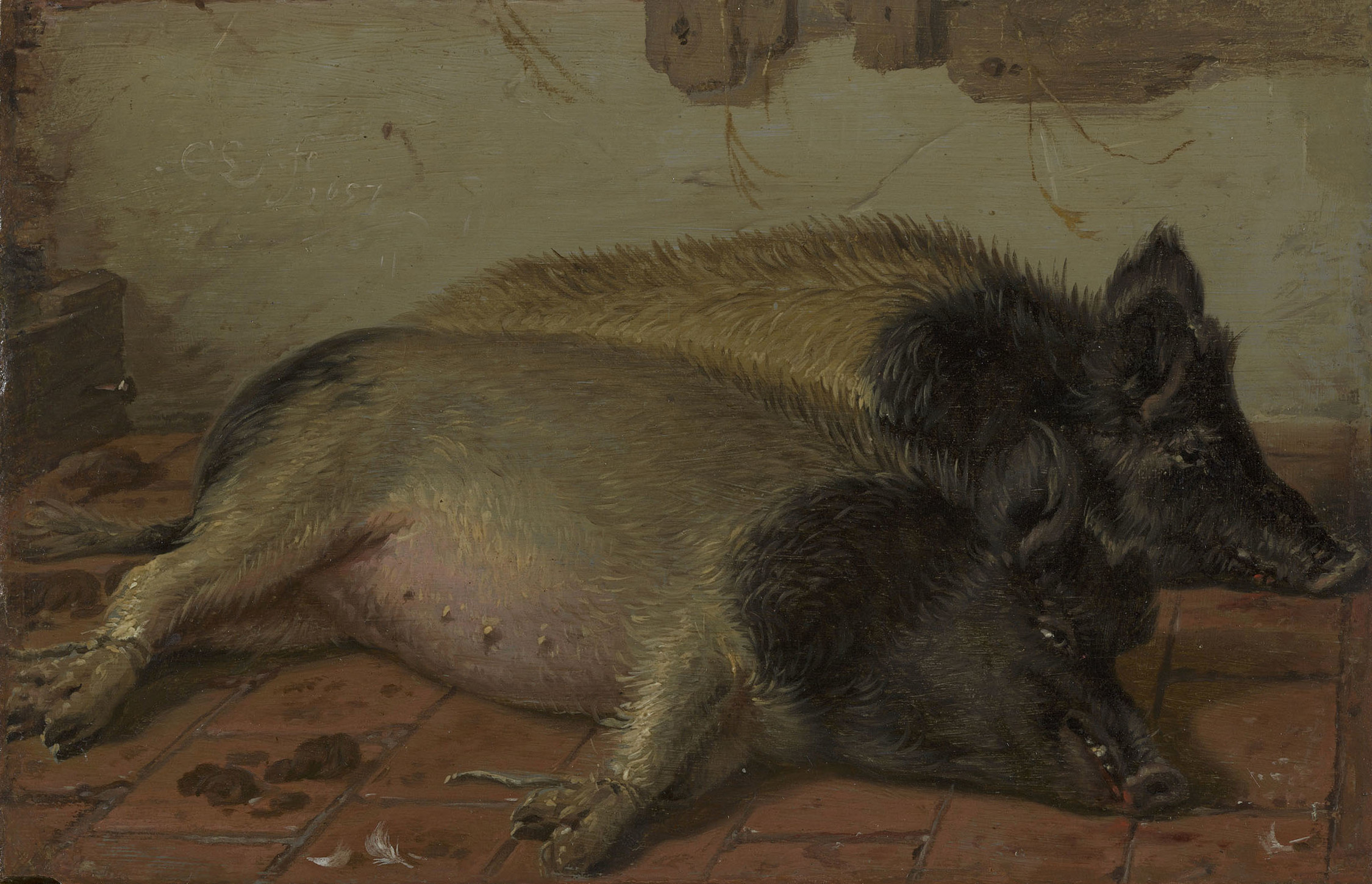 Cornelis Saftleven, Two Pigs