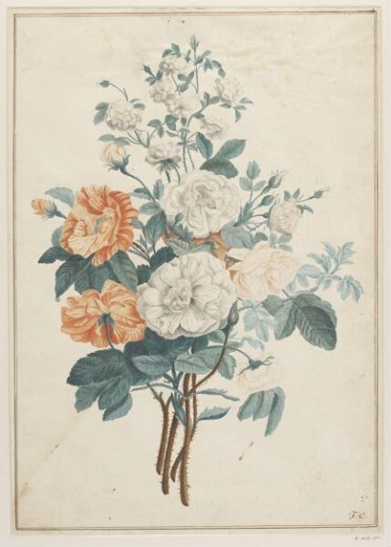 unknown, Drawing