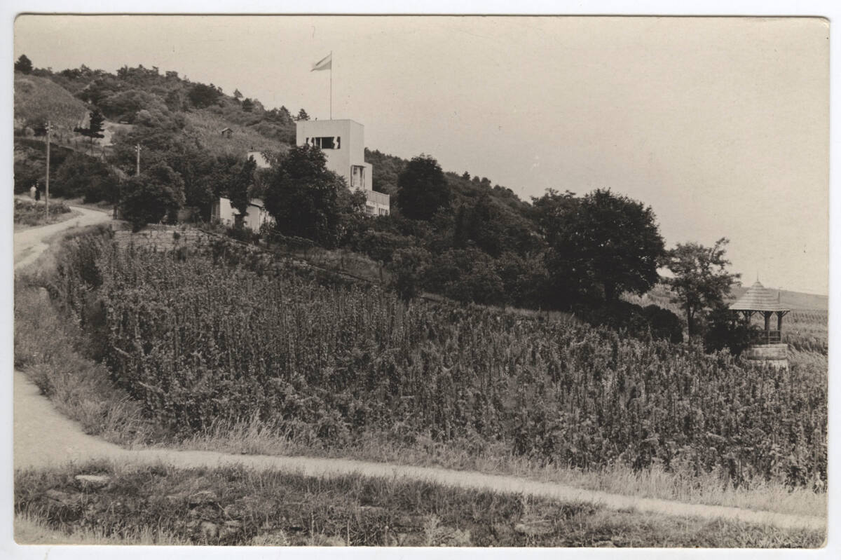 Anonym, Landhaus Carla Spanner, Gumpoldskirchen 270, Rotes Mäuerl, Niederösterreich, Blick über die Weinberge