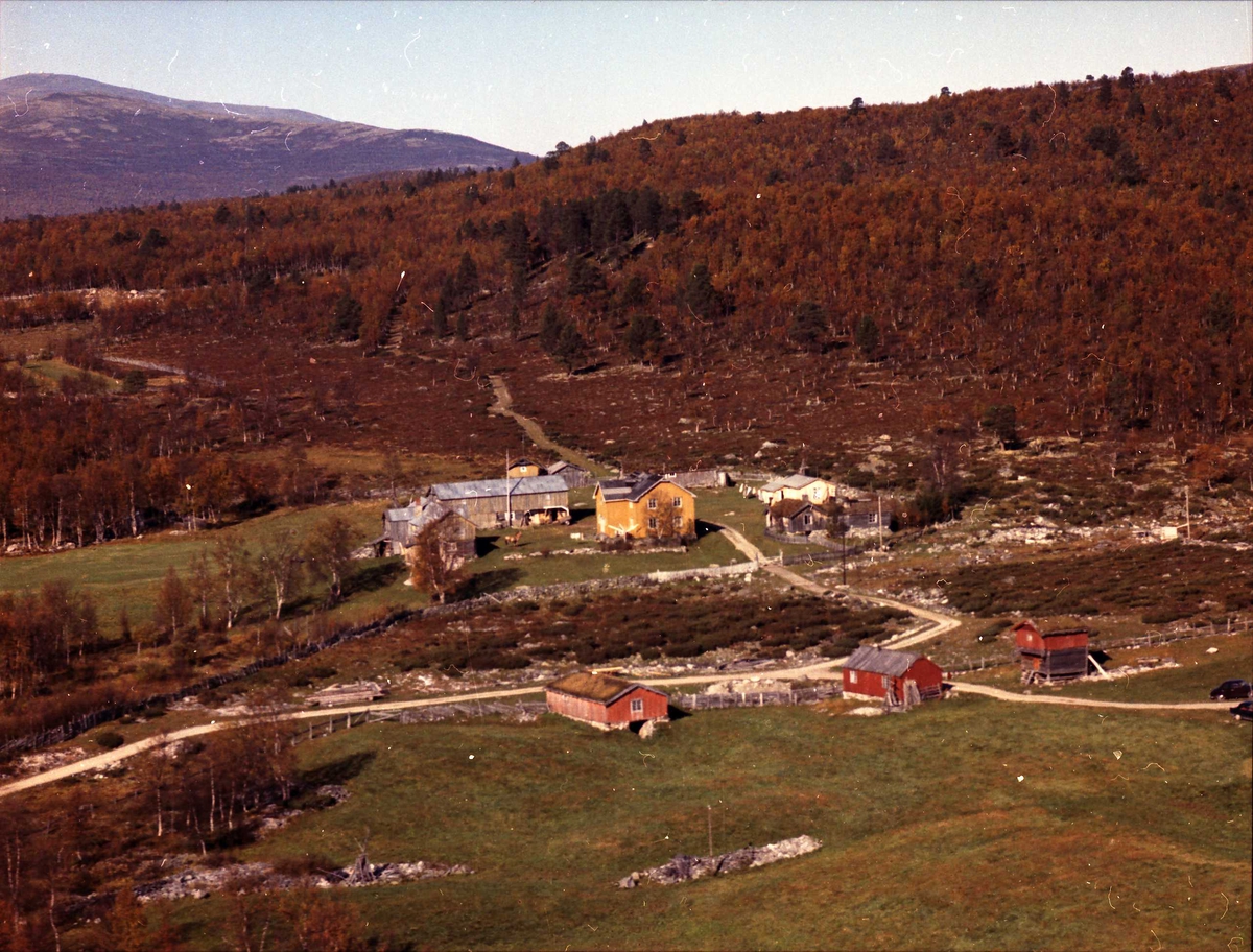 Widerøes Flyveselskap A/S, Gårdsbruk (Kvilvang Søndre).