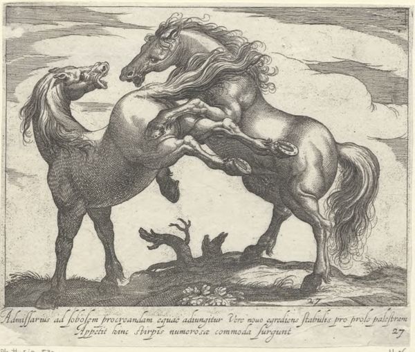 Panderen, Egbert van, (1581-1637?), (printmaker), Horse breeds: Landscape with two kicking and fighting horses