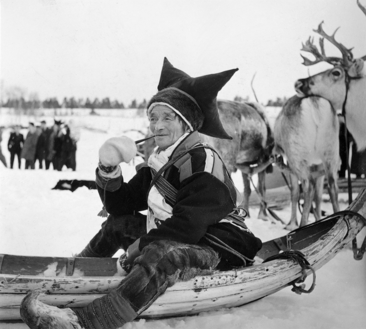Virginia Raymond Davidson, Karasjokdrakt. En same sitter i pulk, deltager i reinsdyr-racet i Karasjok april 1958. Reinsdyr og mennesker i bakgrunnen.
