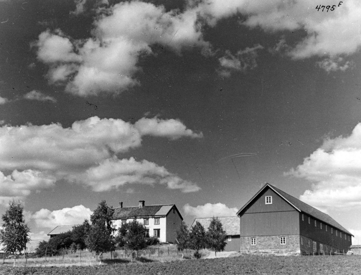 Anders Beer Wilse, Topografi