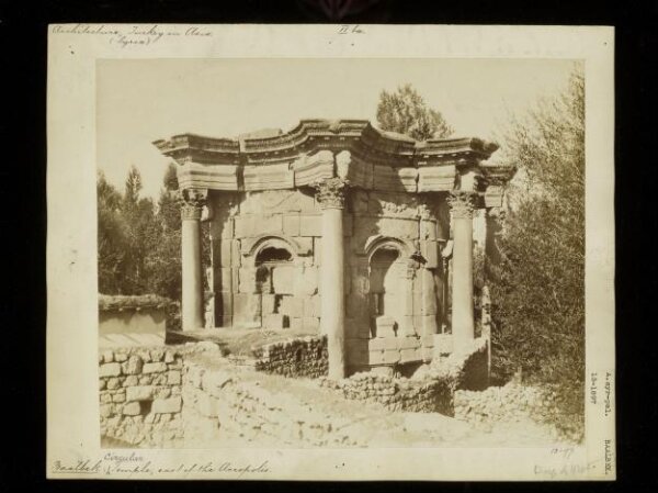 anonymous, Photograph