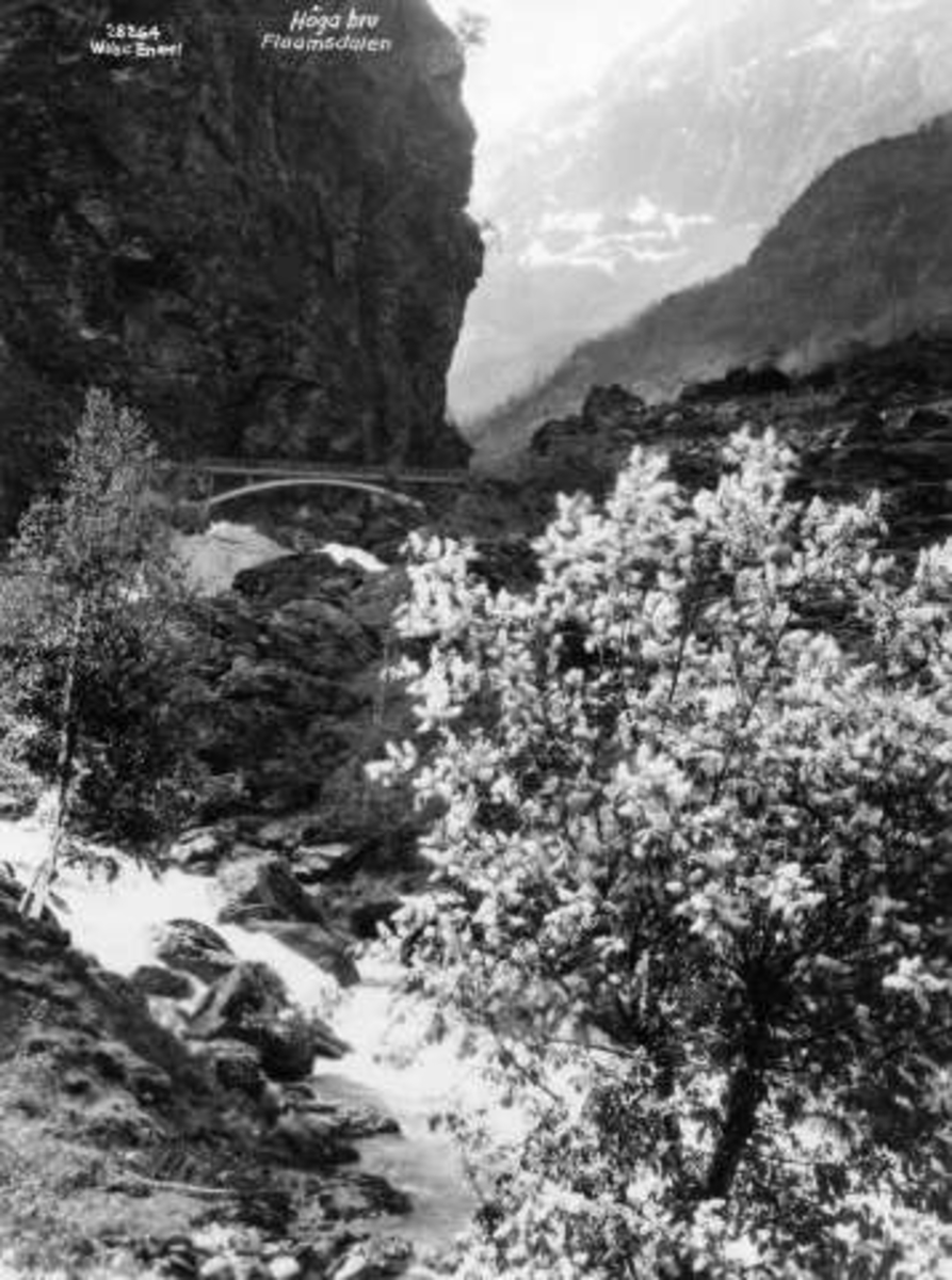 Anders Beer Wilse, -6071