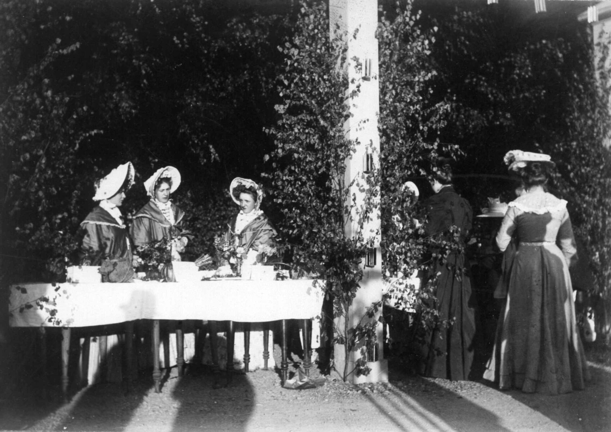 Narve Skarpmoen, Tilstelning på Norsk Folkemuseum. Fra høstfesten i 1902. Kvinner med kysehatter.