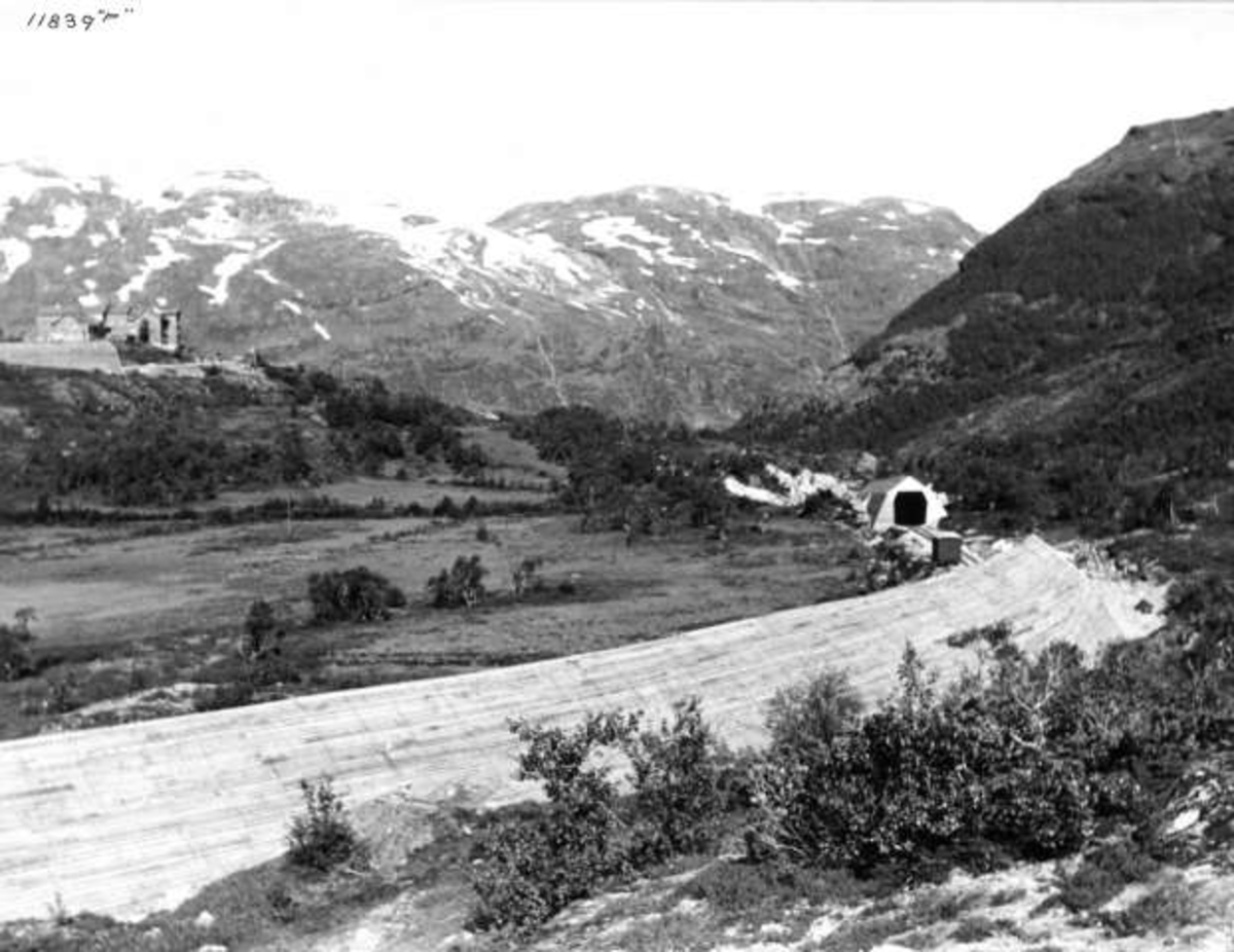 Anders Beer Wilse, -6021