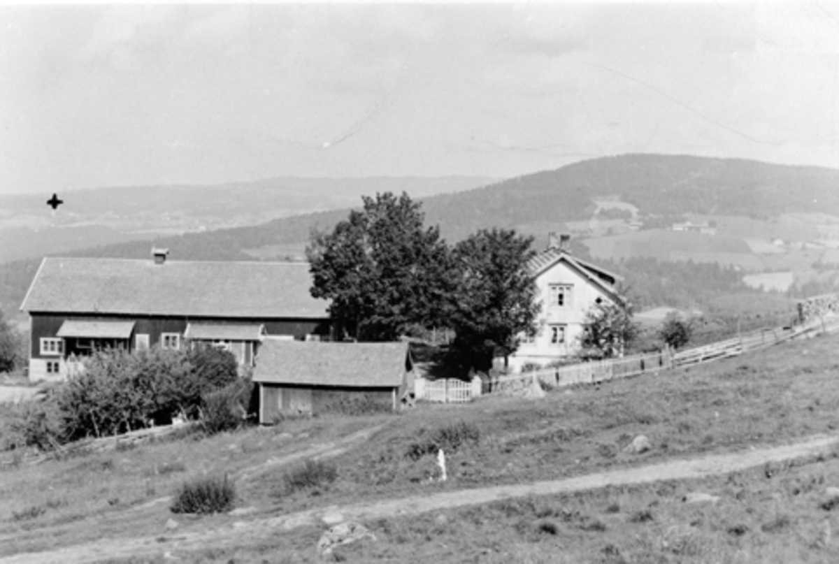 Anno Domkirkeodden, Eksteriør, gardsbruk, Brattengen gård, Furnes, Ringsaker. Hovedbygning, låve, bryggerhus.