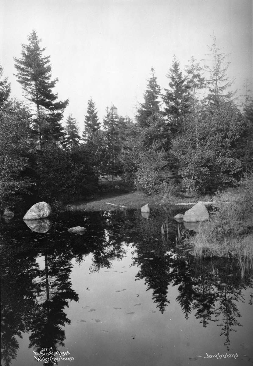 Anders Beer Wilse, Prot: Jomfruland - Speiling i Dam