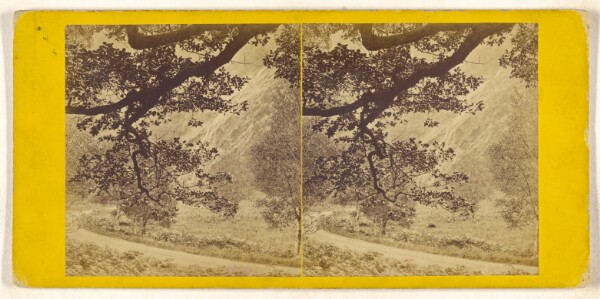 Unknown, Powerscourt Waterfall, Co. Wicklow.