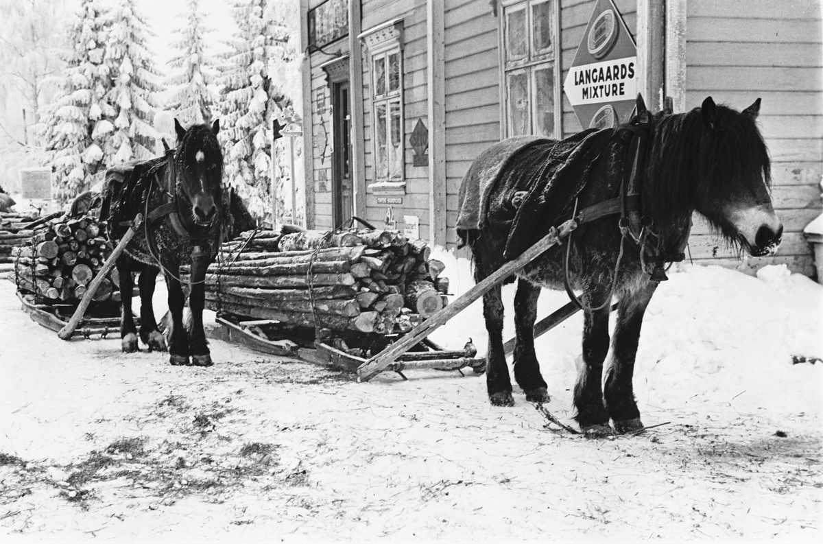 Anders Beer Wilse, Prot: Vinter Vedsaging