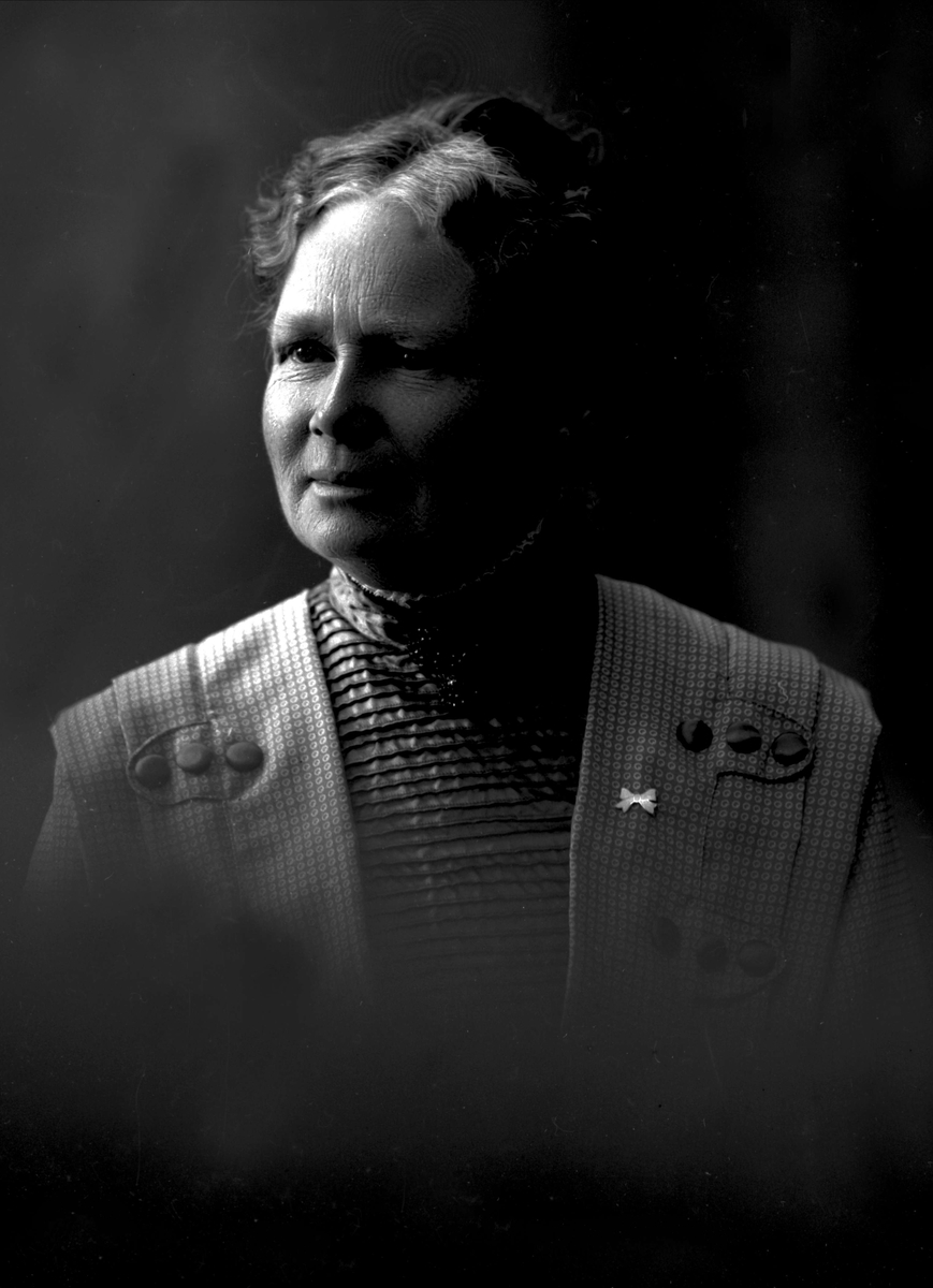 Gustav Borgen, Portrett av folkeskolelærerinne frøken Hanna Morgenstierne.