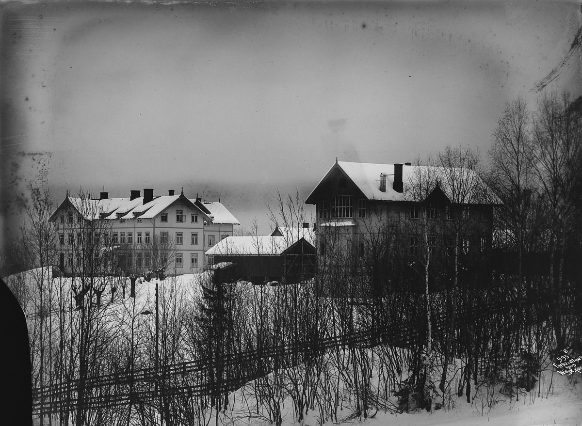 Anders Beer Wilse, Prot: Hartmanns Pensionatskole Bygningene
