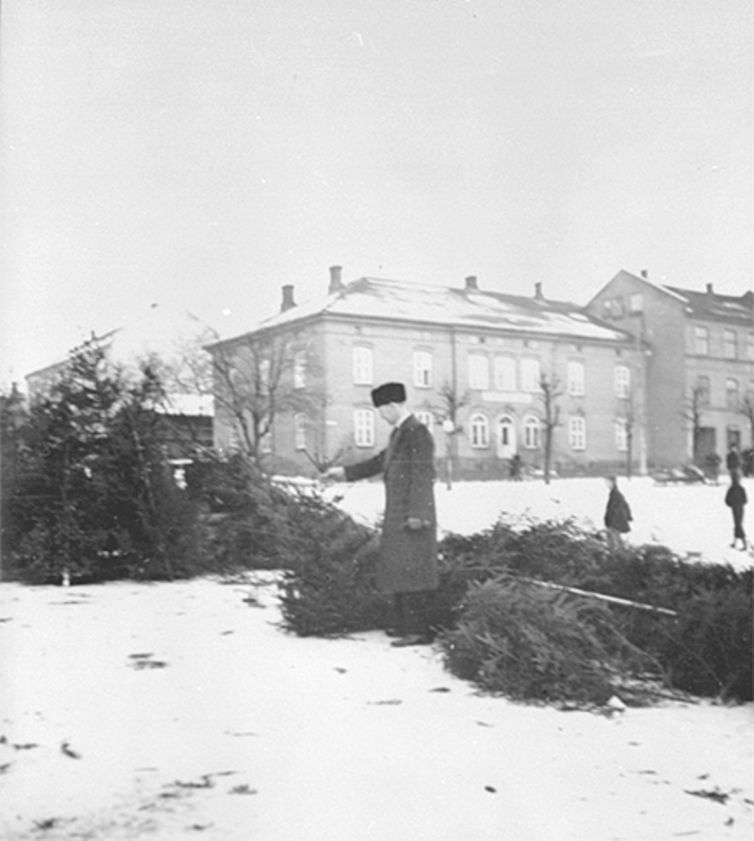 Anno Domkirkeodden, JULETRESALG, STORTORGET, KAFE ROYAL, VINTERFørste julen etter frigjøringen, da alle skulle ha segjuletre