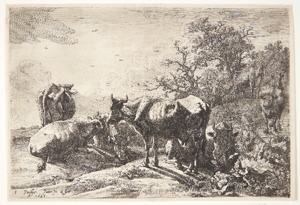 Paulus Potter, Kohyrden
