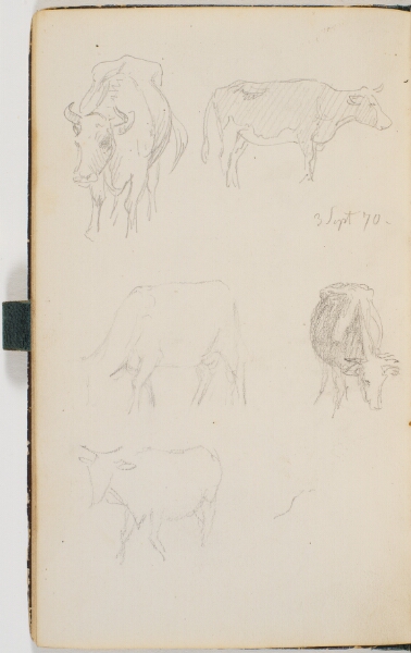 P.C. Skovgaard, Fem køer