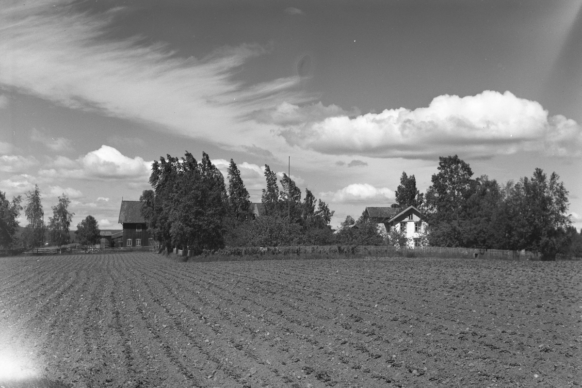 Anno Domkirkeodden, EKSTR: GARDSTUN, BERG ØSTRE, LØTEN Se Løtenboka, bind 2. Bygdeboka fra 1953, side 709