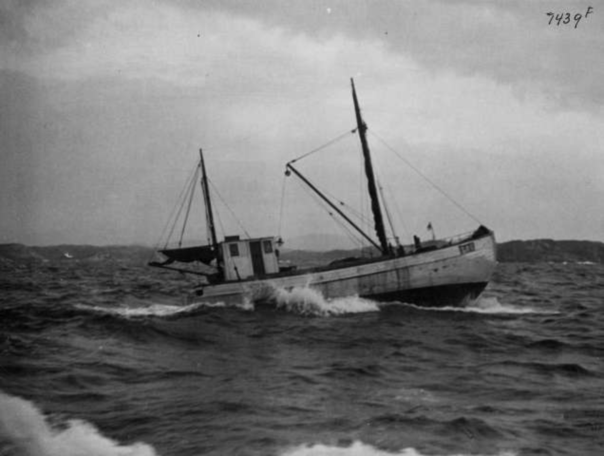 Anders Beer Wilse, -7328
