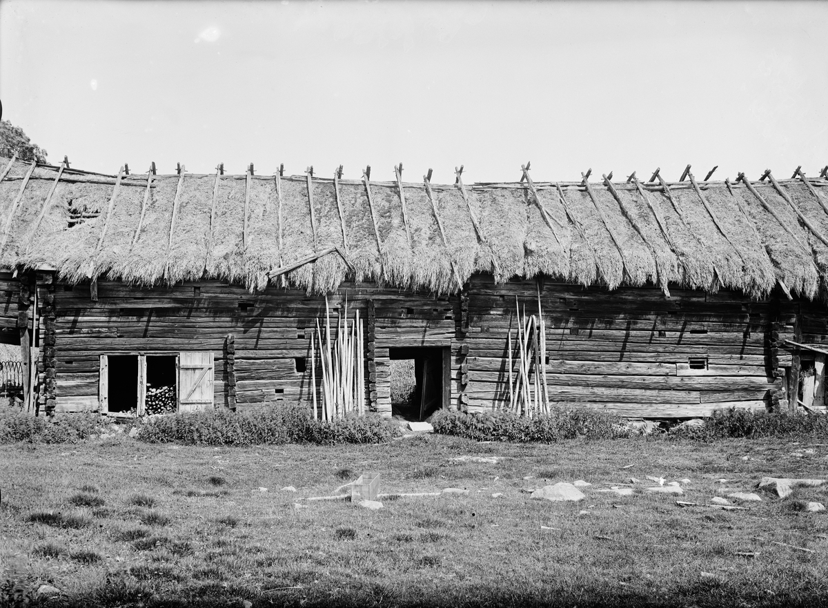 Paul Sandberg, Svin- och fårhus samt fähus på ödegård - Ågren, Tjocksta, Danmarks socken, Uppland sannolikt 1920-tal