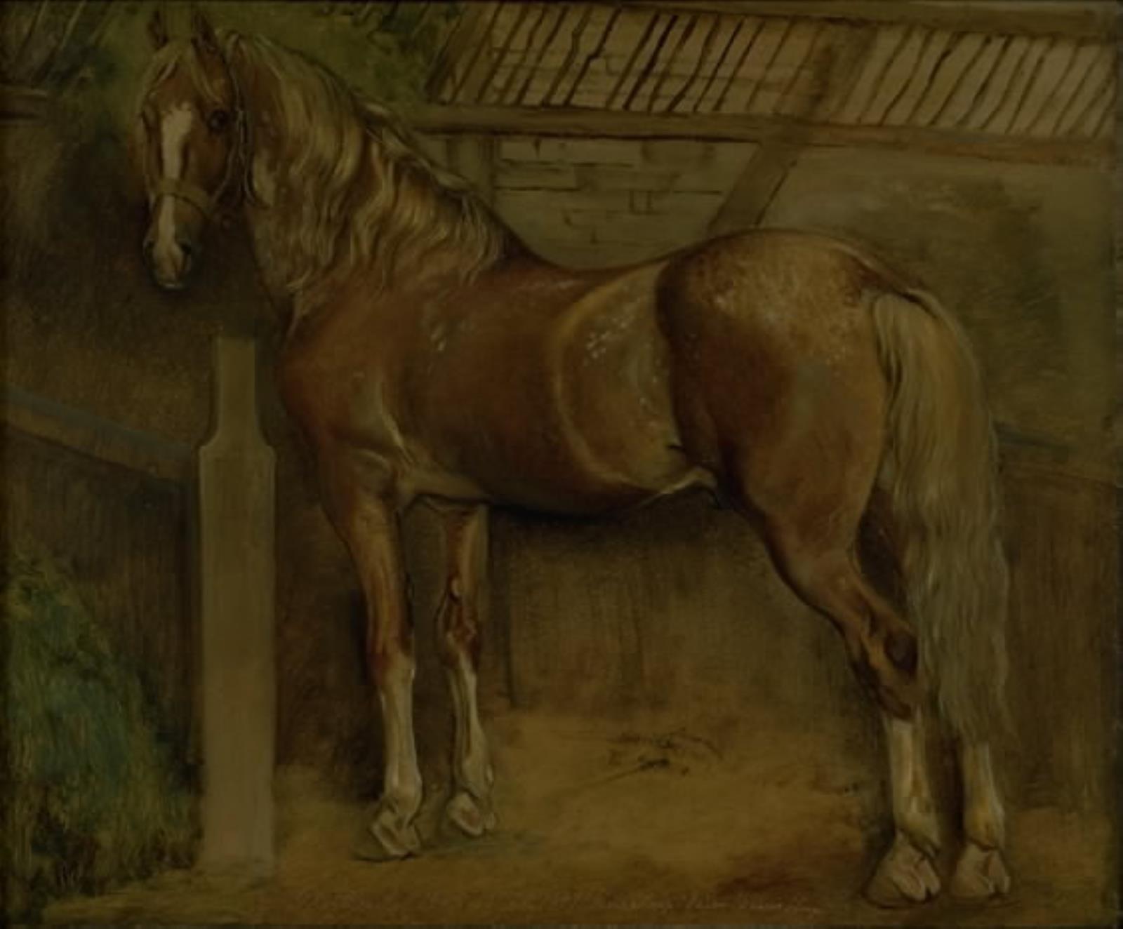 Johan Thomas Lundbye, Seksten-årig hingst af Knabstrup-racen