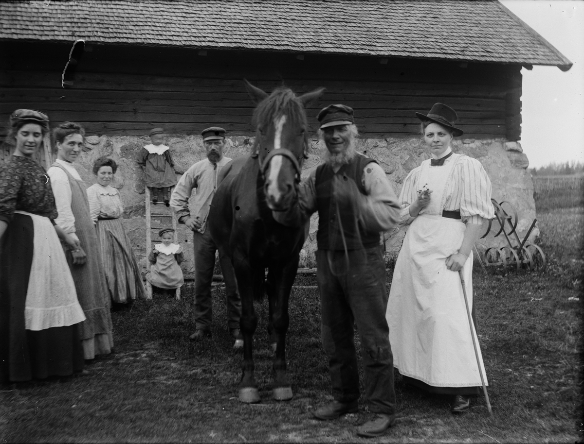 St Joseph, The Horse Bläsen and the family Hållinder with several, Hållen, Hållnäs socken, Uppland 1910